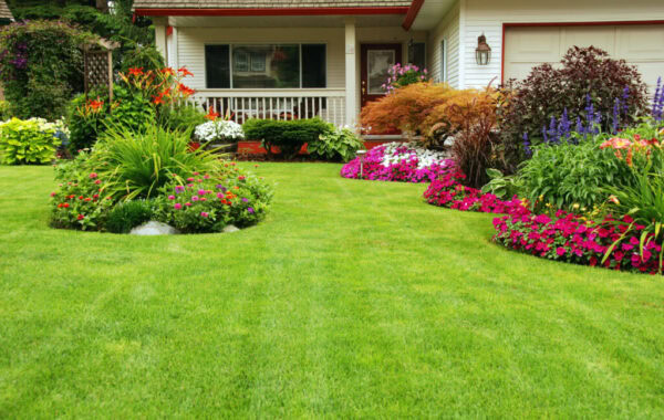 Manicured-Yard-Green-Lawn