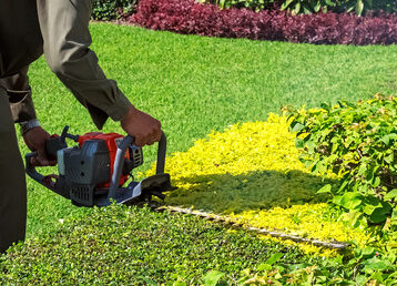 Trimming-Shrub-With-Hedge-Trimmers