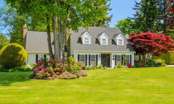 suburb-home-manicured-front-yard